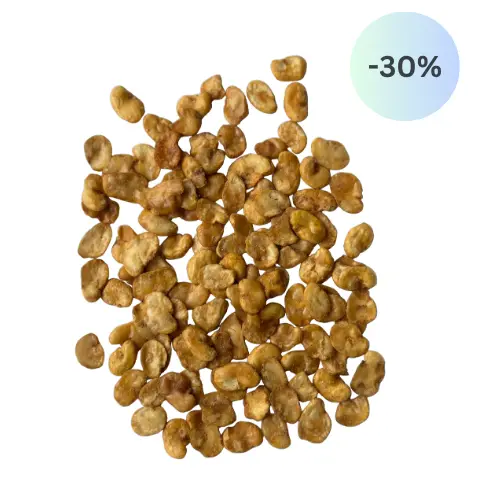 Favabohnen gesalzen 500g-Beutel
